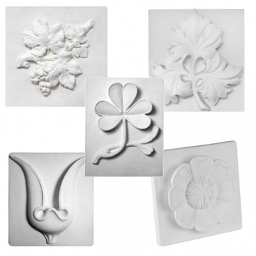 Комплект гипсовых моделей растений  - «globural.ru» - Апрелевка